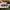New Era Casual Hat Pria black photo 5