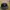 New Era Casual Hat Pria black photo 1