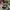 Nike Casual Hat Pria gray photo 1