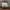 Carhartt Gorpcore Hat Pria gray photo 2