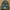 Carhartt Gorpcore Hat Pria gray photo 1