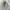 Luxury Minimalist Track jacket Pria multicolor photo 2