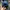 Casual Hat Pria blue photo 3