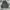 Luxury Minimalist Trench coat Pria multicolor photo 1