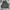 Luxury Minimalist Trench Coat Pria Multicolor