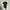 Neil Barrett Avant Garde T-shirt Pria black gray photo 2