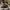 Casual Hat Pria Multicolor Brown