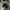 Casual Hat Pria multicolor brown photo 3