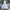 Luxury Minimalist Hoody Pria multicolor photo 4