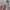 VANS Luxury Minimalist Boxer Pria multicolor photo 4