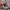 VANS Luxury Minimalist Boxer Pria multicolor photo 6