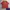 Polo Ralph Lauren Luxury T-shirt Pria red orange photo 1