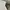 Luxury Minimalist Formal shirt Pria multicolor photo 2