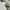 Luxury Minimalist Formal shirt Pria multicolor photo 2