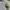 Luxury Minimalist Formal shirt Pria multicolor photo 2