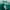 GU Vintage Streetwear Sweatshirt Pria green photo 7