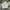 Luxury Minimalist Formal Shirt Pria Multicolor