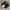 Adidas Casual Casual shoe Pria black photo 1