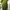 Luxury Minimalist Casual dress Wanita green photo 5