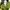 Luxury Minimalist Casual dress Wanita green photo 4