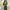 Luxury Minimalist Casual dress Wanita green photo 3