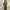 Luxury Minimalist Casual dress Wanita green photo 1