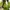 Luxury Minimalist Casual dress Wanita green photo 6
