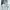 Streetwear Hoody Pria gray photo 1