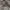 Yves Saint Laurent YSL Luxury Casual Harrington jacket Pria multicolor gray photo 4