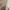 bebe Vintage Y2K Denim jacket Wanita tan cream photo 8