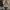bebe Vintage Y2K Denim jacket Wanita tan cream photo 2
