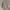 Yves Saint Laurent YSL Vintage Casual Harrington jacket Pria tan gray photo 5