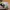 Nike Streetwear Sportswear Hat Pria gray photo 5