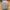 Nike Streetwear Sportswear Hat Pria gray photo 1