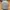 Nike Streetwear Sportswear Hat Pria Gray