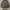Lyle & Scott Vintage Casual Harrington jacket Pria brown gray photo 1
