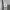Adidas Minimalist Sweater Pria gray photo 2
