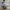 New Balance Sportswear Sneakers Wanita white photo 1