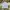 Luxury Minimalist Formal shirt Pria multicolor photo 1