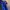 Adidas Sportswear Casual Jersey Pria blue photo 5