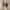 Adidas Casual Sneakers Pria white brown photo 1