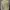 Armani	 Luxury Casual Harrington jacket Pria tan brown photo 1