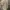 Armani	 Luxury Casual Harrington jacket Pria tan brown photo 2