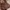Casual Sweater Wanita multicolor brown photo 3