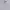 Luxury Minimalist Formal shirt Pria white blue photo 3