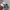 Adidas Streetwear Sneakers Wanita white black photo 4