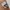 New Balance Streetwear Loafer Pria silver photo 4
