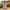 Y2K Casual dress Wanita multicolor photo 1