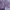 Olivia Lauren Fairy Coquette Blouse Wanita multicolor purple photo 2