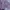 Olivia Lauren Fairy Coquette Blouse Wanita Multicolor Purple